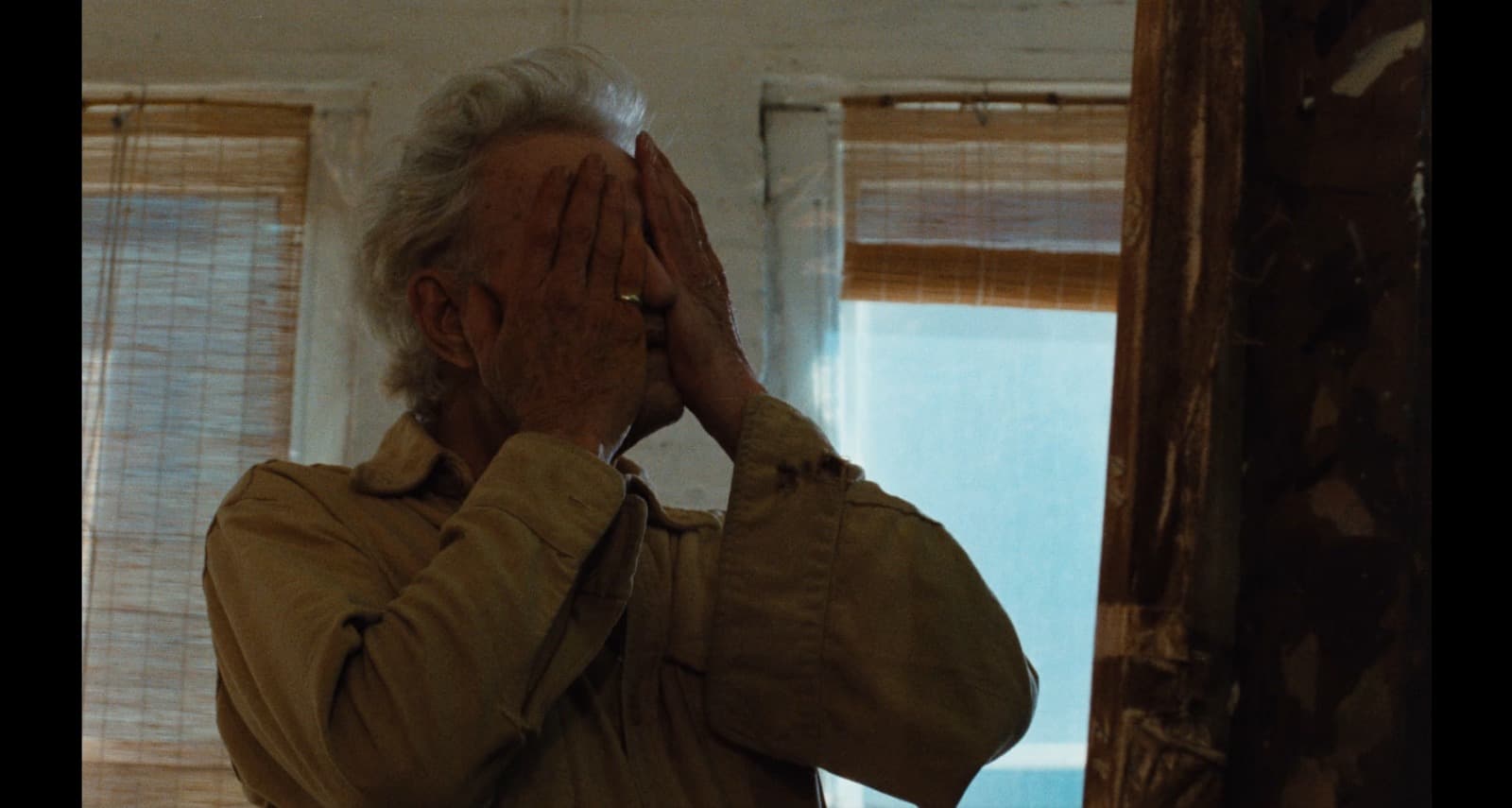 Wim Wenders version of The hidden face